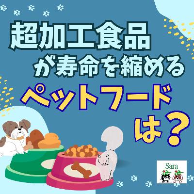 #1026. 超加工商品で病気のリスク増加❓ペットフードはどうなのか❓🐶🐱