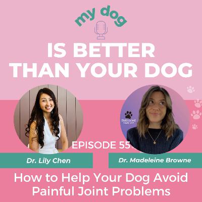 How to Help Your Dog Avoid Painful Joint Problems w/ Dr. Madeleine Browne