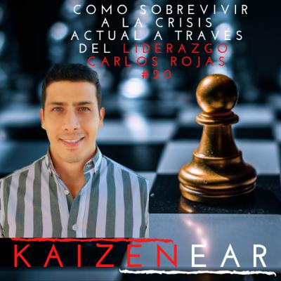 #20 Como sobrevivir a la crisis actual a través del liderazgo. #20 Como sobrevivir a la crisis actual a través del liderazgo.