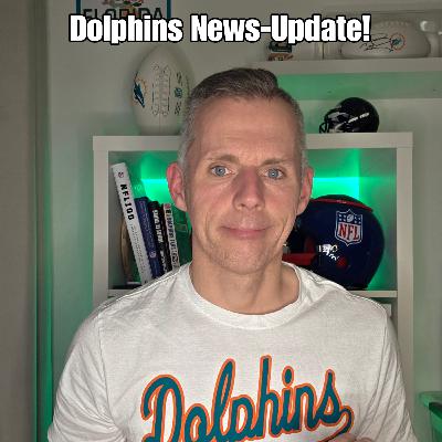 All about the Dolphins! All about the Dolphins!