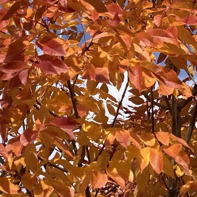 15th Anniversary Episode of The Frontier Beyond Fear