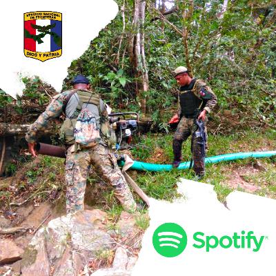 Delitos Ambientales : "Impacto y Perspectiva"