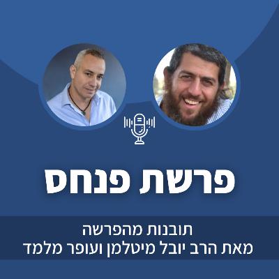 פרק 40: פרשת פנחס