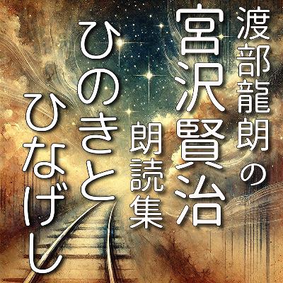 ひのきとひなげし