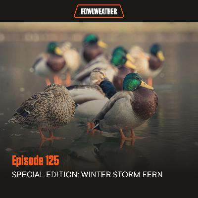 Ep. 125 – SPECIAL EDITION: WINTER STORM FERN Ep. 125 – SPECIAL EDITION: WINTER STORM FERN
