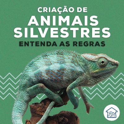 Criação de animais silvestres: entenda as regras Criação de animais silvestres: entenda as regras
