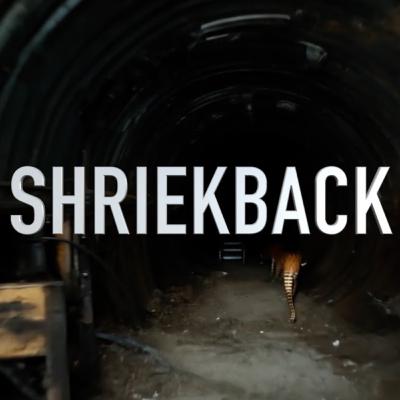 Sticky Jazz Interview Shriekback round 3 Sticky Jazz Interview Shriekback round 3