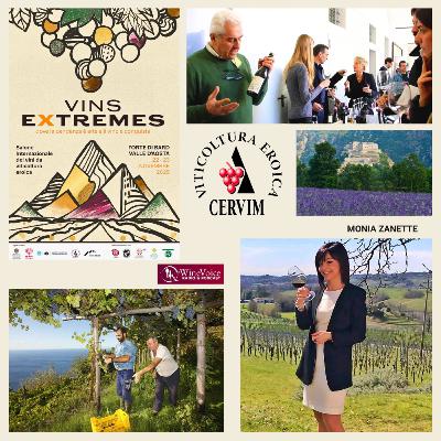Le Terre del Vino: VINS EXTREMES - Monia Zanette, il talento e la sensibilità contemporanea!