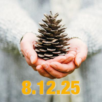 Fasst neue Hoffnung! – Adventsimpuls zum 8. Dezember 2025 Fasst neue Hoffnung! – Adventsimpuls zum 8. Dezember 2025