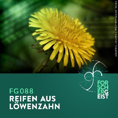 FG088 Reifen aus Löwenzahn FG088 Reifen aus Löwenzahn