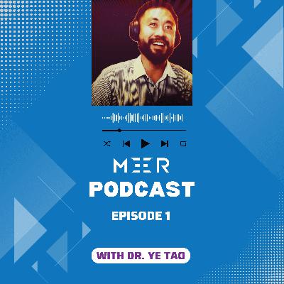 1 Introduction to Dr. Ye Tao and MEER