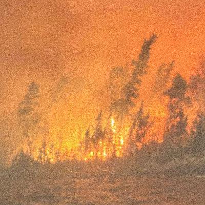 Is Canada failing First Nations during wildfire evacuations?