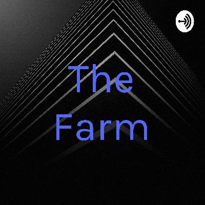 The Truth and Daring The Truth and Daring