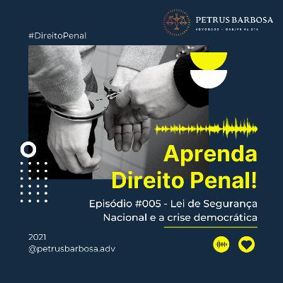 005 - Lei de Segurança Nacional e crise democrática no Brasil