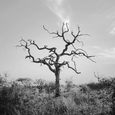 Funerals of Non-Muslim Relatives