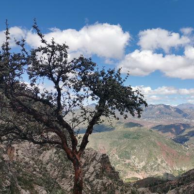 Bolivia - Silencio power of silence in naturaleza :)))