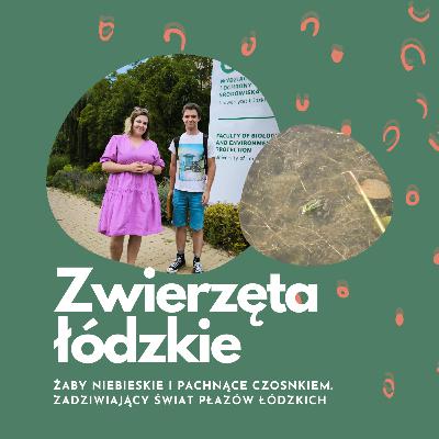 W Łodzi są niebieskie żaby | Jarosław Brodecki | Zwierzęta łódzkie W Łodzi są niebieskie żaby | Jarosław Brodecki | Zwierzęta łódzkie