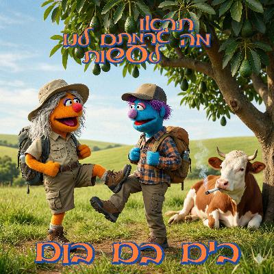 76 - בים בם בום 76 - בים בם בום