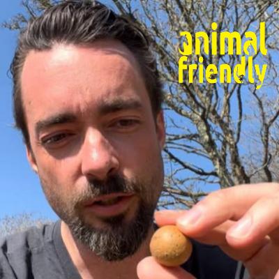 29. The Wild Nature of Ireland 29. The Wild Nature of Ireland