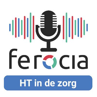 Rol van de auditor binnen HT