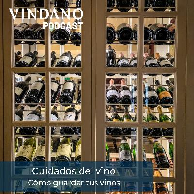 Cómo guardar tu vino