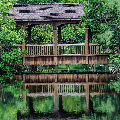 Capitulo 12 - Hablemos de Luces