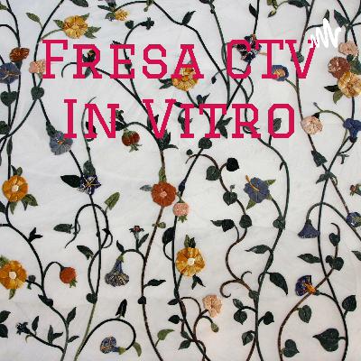 Fresa CTV in vitro