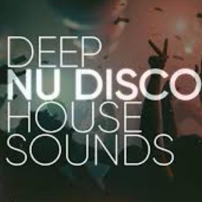 SKY TRINI NU DISCO HOUSE MSUIC