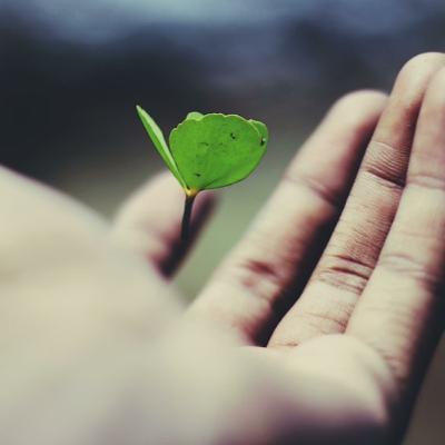 Insulina Episodio 3- ¿Por qué a mi?