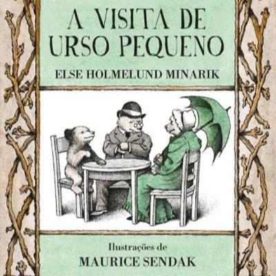 #24 - A visita de pequeno urso
