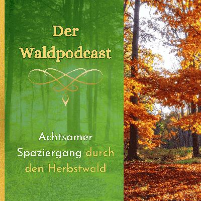 Achtsamer Spaziergang durch den Herbstwald Achtsamer Spaziergang durch den Herbstwald
