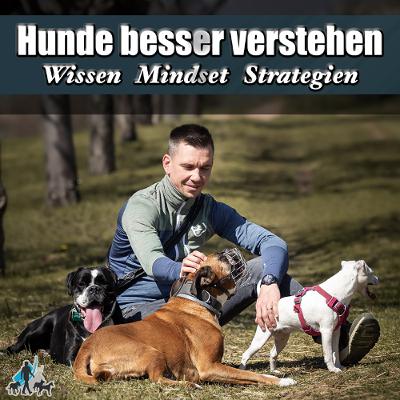 #345 Du musst da durch!! - Geh in die Konlikte!