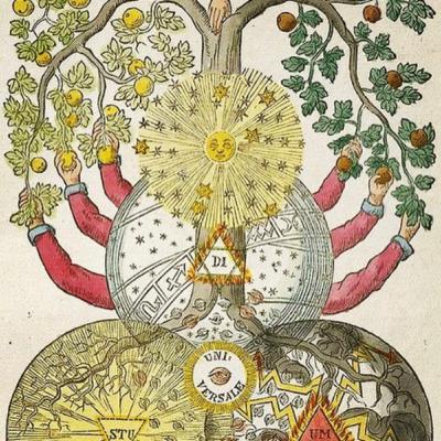 Conoscenza - vitae opus artem est Conoscenza - vitae opus artem est