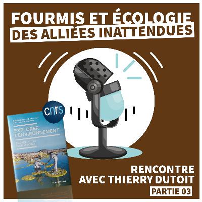 EXPLORER L'ENVIRONNEMENT | Fourmis et Écologie : Des alliées inattendues [Épisode 03]