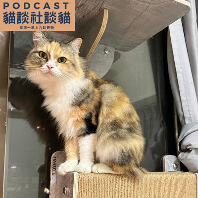 EP201 隔離與介紹怎麼這麼難！