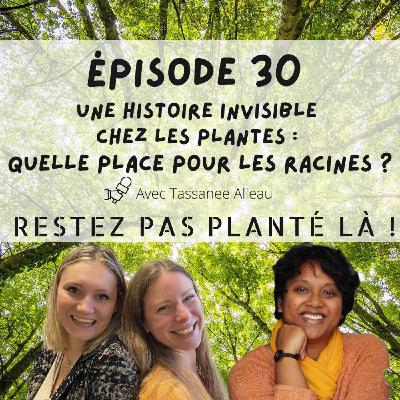 Une histoire invisible chez les plantes : quelle place pour les racines ? Avec Tassanee Alleau Une histoire invisible chez les plantes : quelle place pour les racines ? Avec Tassanee Alleau