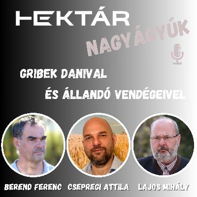 Jön a nagy borsó-bukta? Féltermés kukorica Lajoskomáromban? A minőségi búza kockázata és egy kis öntözés- Nagyágyúk 10. Jön a nagy borsó-bukta? Féltermés kukorica Lajoskomáromban? A minőségi búza kockázata és egy kis öntözés- Nagyágyúk 10.