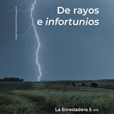 De rayos e infortunios