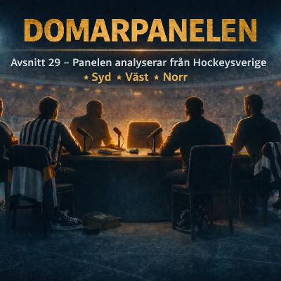 Avsnitt 29 - Domarpanelen analyserar från Hockeysverige