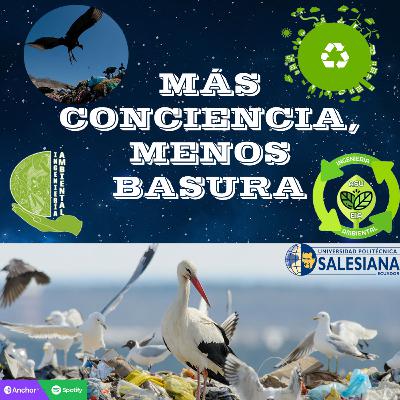 Más conciencia, menos basura