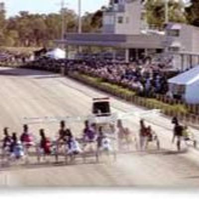 'Square Gaiters' - The Harness Racing Show - October 11, 2025