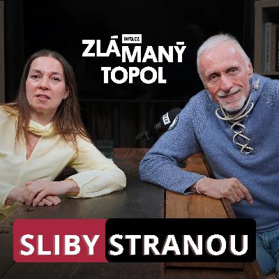 Míříme do vážné krize. Andrej Babiš by měl odvážně vystoupit s novým vládním programem