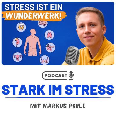 Diese Hormone stecken hinter deinem Stress! (Folge 26)