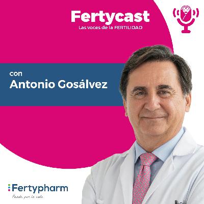 13. Más allá de los datos: La visión humana de la reproducción asistida 13. Más allá de los datos: La visión humana de la reproducción asistida