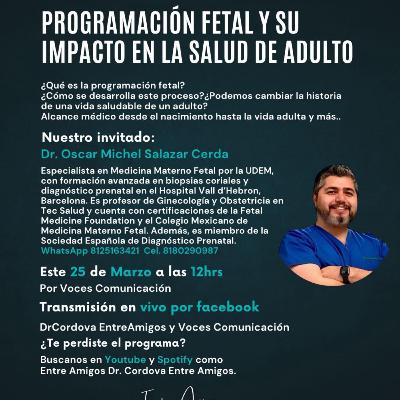 Programación Fetal y su Impacto en la Salud de Adulto Programación Fetal y su Impacto en la Salud de Adulto
