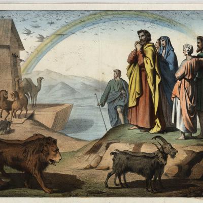 The Flood—The Promise of the Rainbow—Gen. 9:1-17 (18-29)