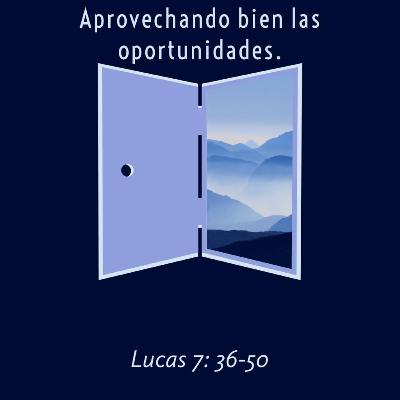 Devocional 13