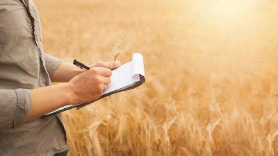 US Wheat Associates Compiling Key Report US Wheat Associates Compiling Key Report