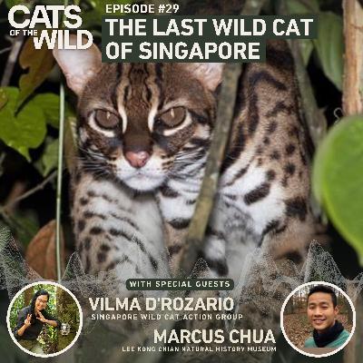 The Last Wild Cat of Singapore: Singapore Wild Cat Action Group
