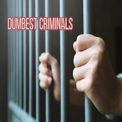 Dumbest Criminals| Episode 2